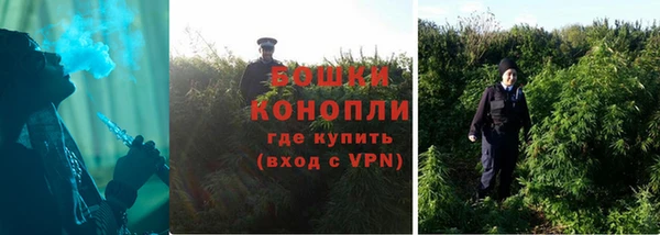 ГАЛЛЮЦИНОГЕННЫЕ ГРИБЫ Абаза