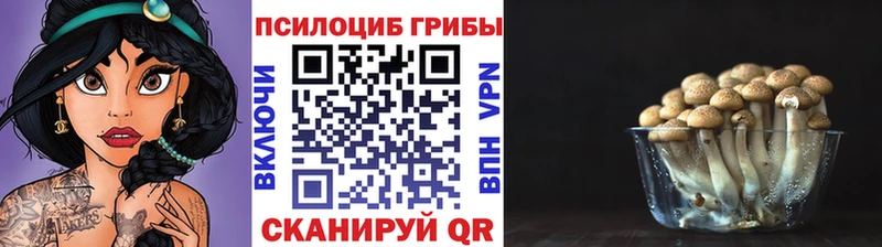 KRAKEN маркетплейс  где найти   Горбатов  Галлюциногенные грибы Magic Shrooms 